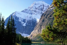 杨幂李易峰天涯论坛大事件，番1糖2误会交织成话题热聊！